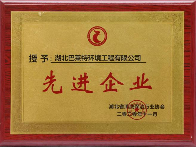湖北省清洗保潔行業(yè)協(xié)會先進(jìn)企業(yè).png